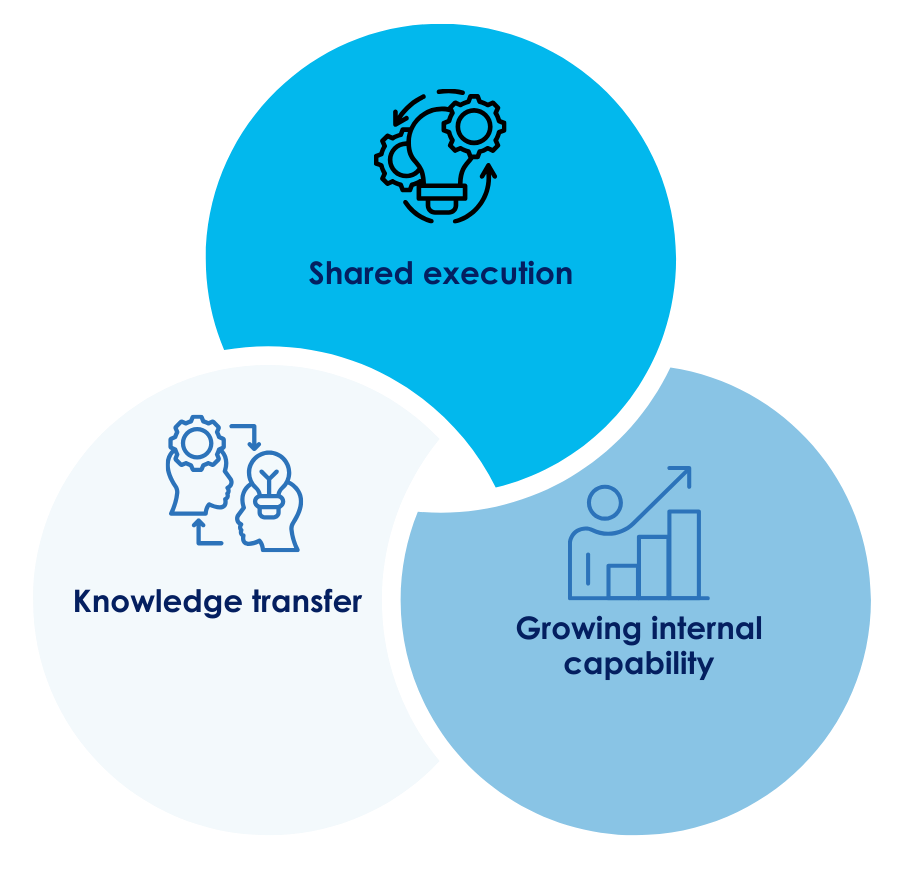 Mentoring diagram